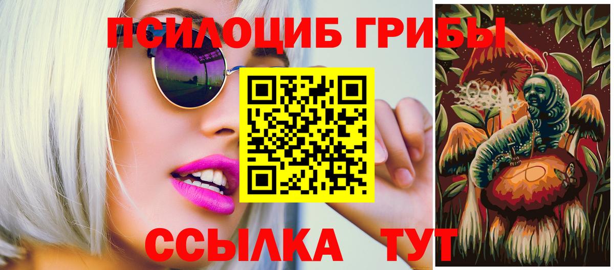 Минеральные Воды  Псилоцибиновые грибы MAGIC MUSHROOMS  Галлюциногенные грибы MAGIC MUSHROOMS  Вход с VPN 